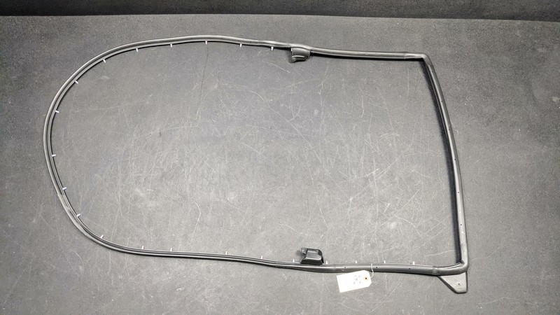 Rear Left Door Weatherstrip 2021 Toyota RAV4 67872-0R050 2019 2020