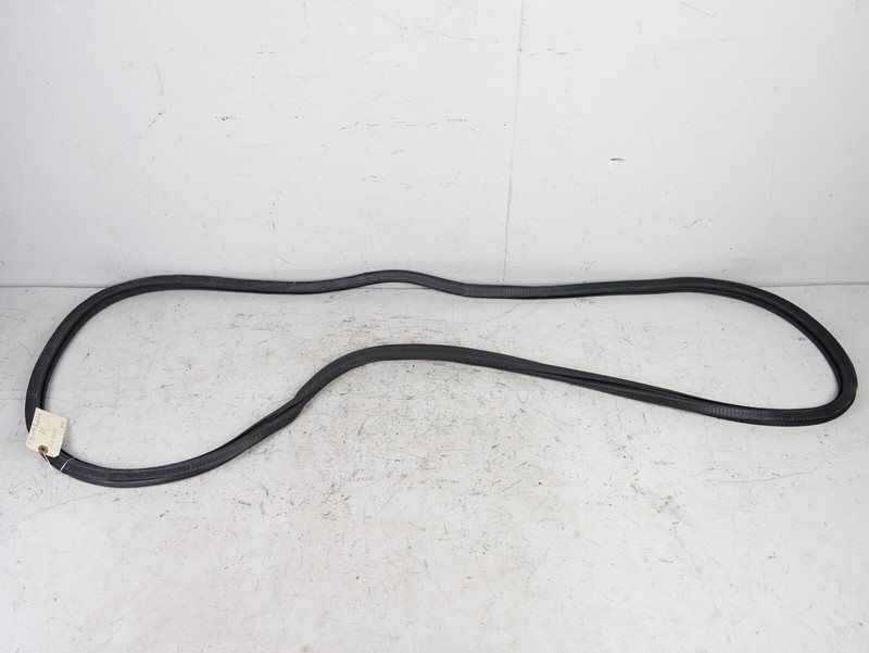 Porsche Panamera Rear Right Door Weather Seal OEM Rubber Black 2010-2016