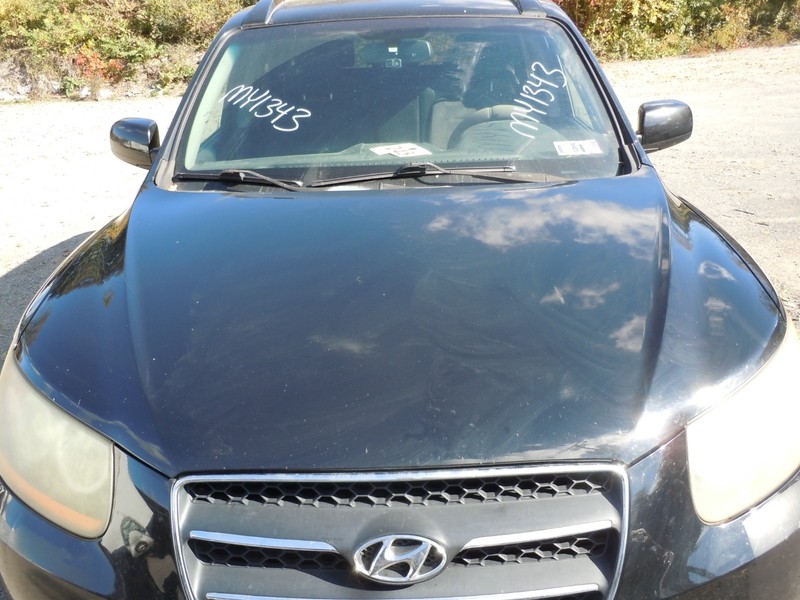 2007-2009 Hyundai Santa Fe Hood Bonnet Lid OEM F1