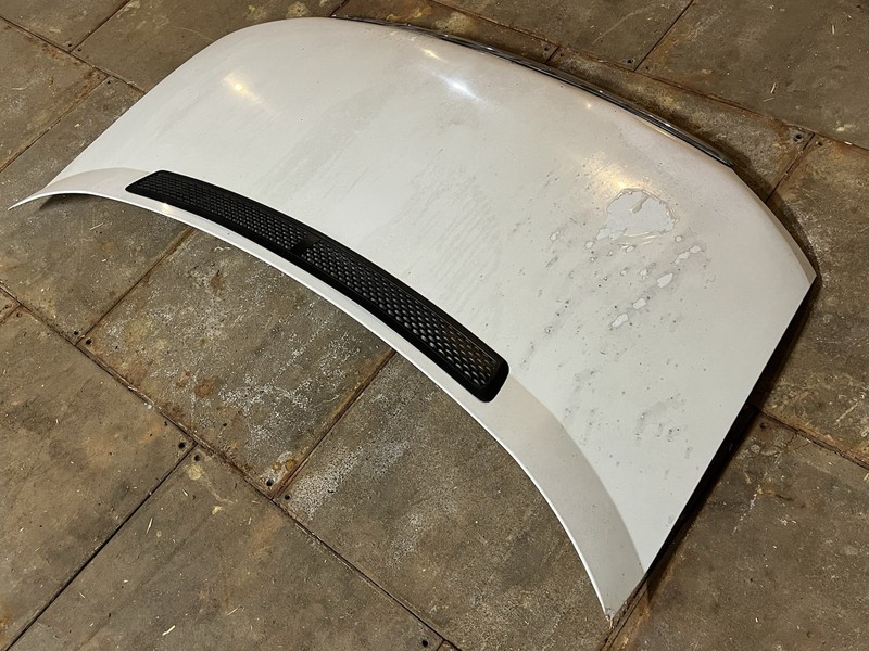 02-06 Dodge Freightliner Mercedes Sprinter T1N Front Hood