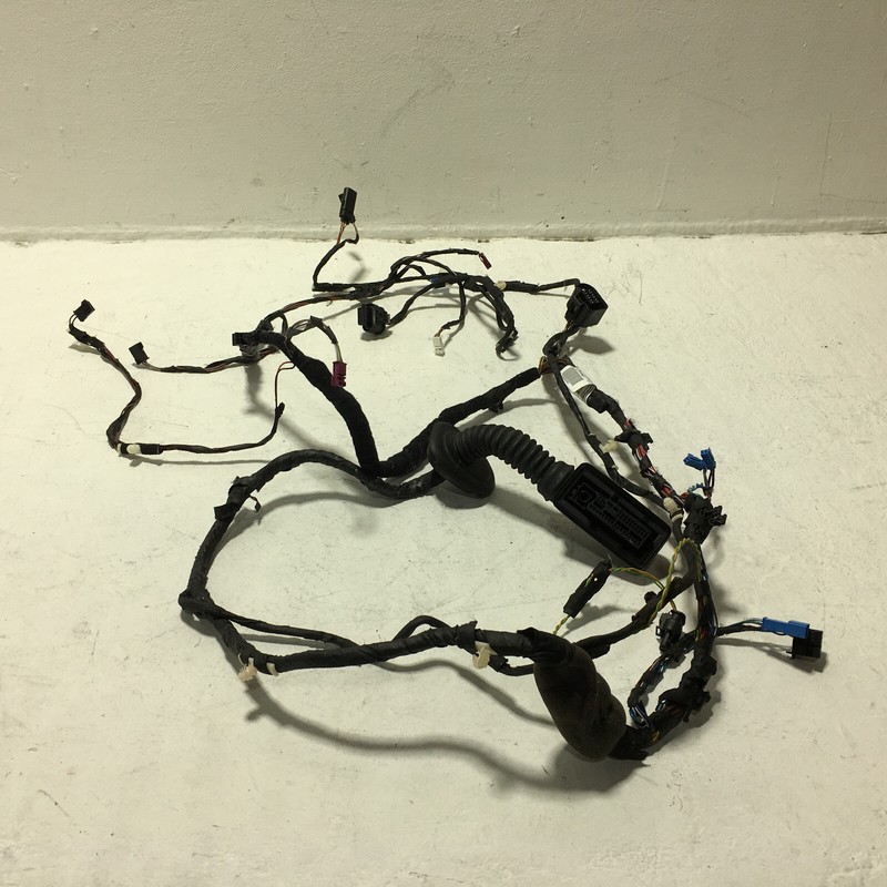 2017-2020 BMW 530E G30 FRONT RIGHT PASSENGER SIDE DOOR WIRE WIRING HARNESS OEM