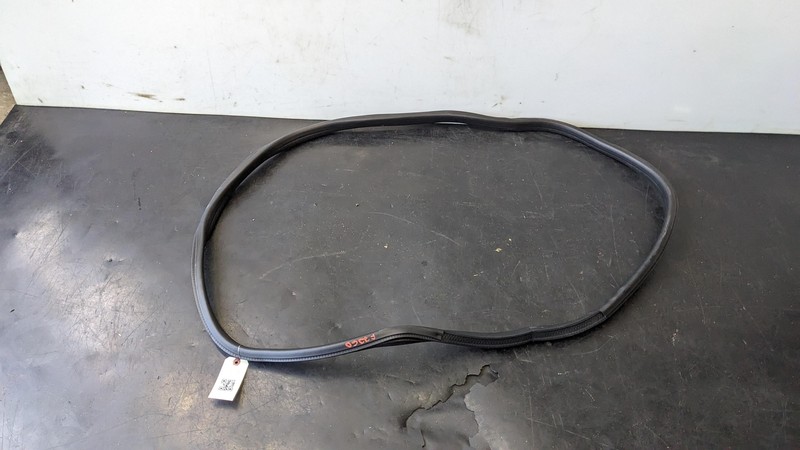 Rear Left Door Body Weatherstrip 2020 Ford Expedition JL1Z-40253A11-A 2018 -2023