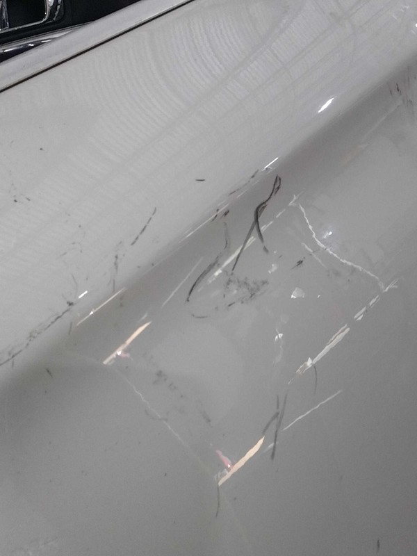 2013 BMW 528i Left Door White OEM Used Part 124K Miles Scratches