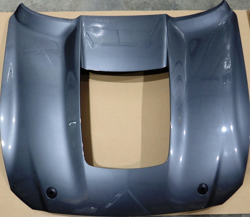 20-22 Ford Mustang Shelby GT500 Hood Gray New Take Off