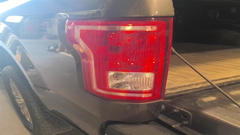 Driver Tail Light Styleside Incandescent Fits 15-17 FORD F150 PICKUP 3530543