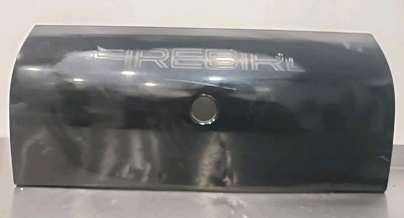 1993 Thru 2002 Pontiac Trans Am Rear Center Filler Panel Black OEM GM 16516876