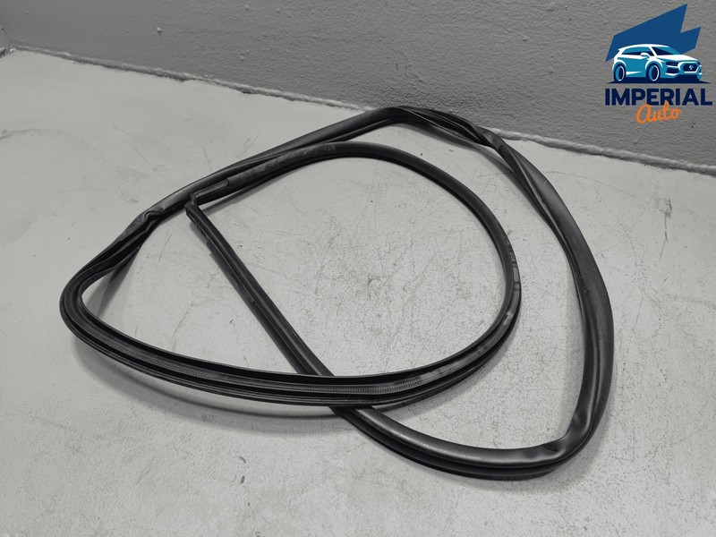 2019-2025 TOYOTA RAV4 REAR RIGHT PASSENGER SIDE DOOR BODY WEATHERSTRIP SEAL OEM