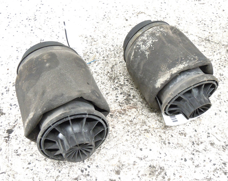 2007 2008 Mercedes-Benz GL450 Rear Air Suspension Strut Bag Pair Left Right OEM