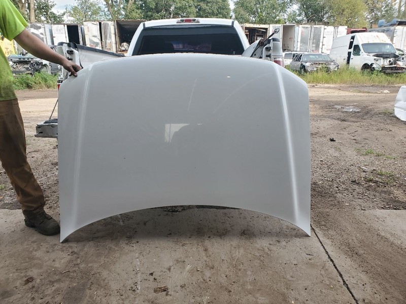 Hood Fits 04-08 FORD F150 PICKUP 302283