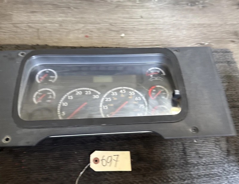 FREIGHTLINER Cascadia Instrument Cluster/Gauge Panel - P/N: A22-66236-100