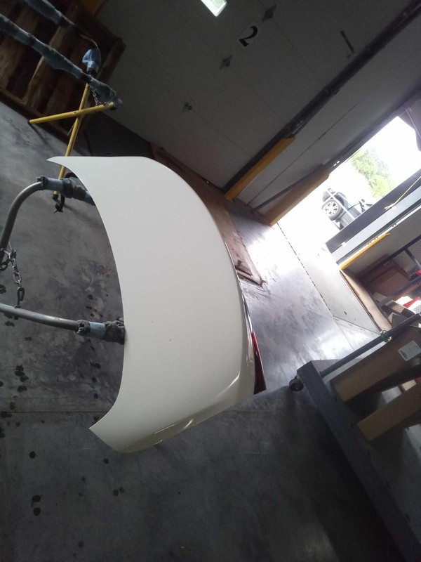 2019 INFINITI Q50 Deck Lid Trunk Lid White OEM Used 53000 Miles NJ25-17912