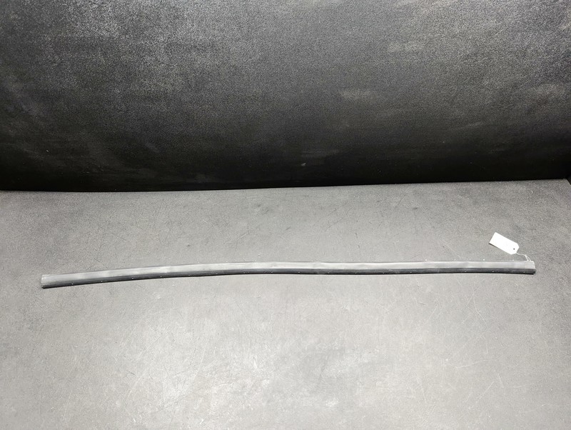 Panoramic Sunroof Weatherstrip 2019 Ford EDGE FT4Z-58503A22-A 2015-2020 2021