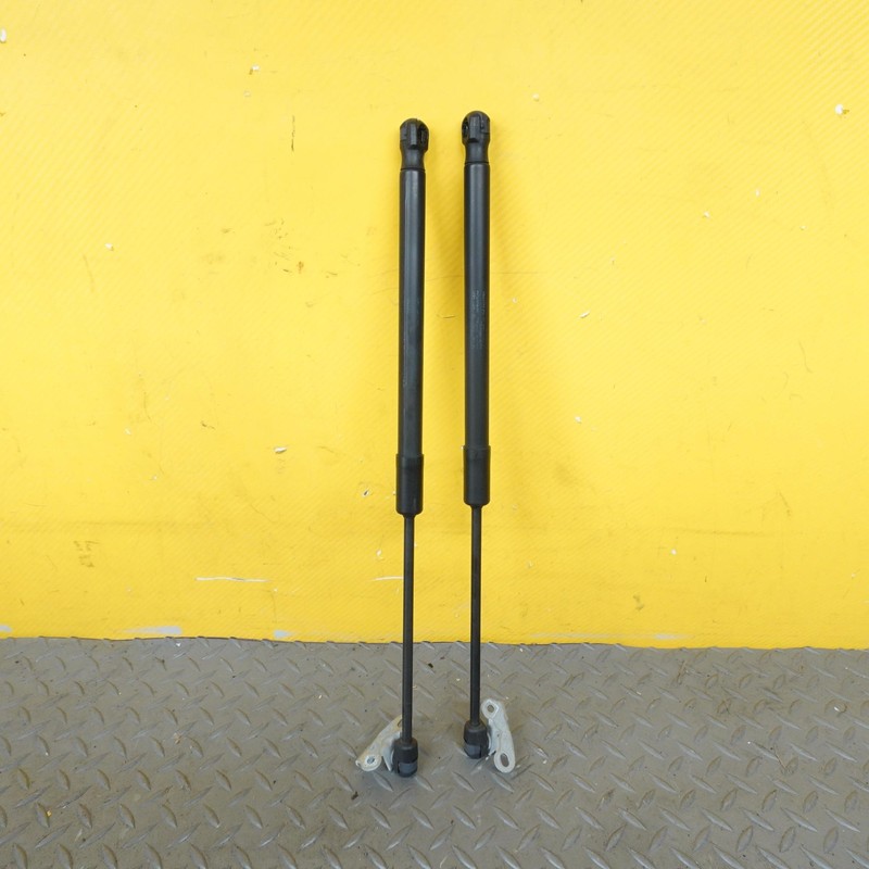 2019-2023 VOLVO XC40 HOOD LEFT & RIGHT SIDE LIFT CYLINDER STRUT OEM SET 32206883