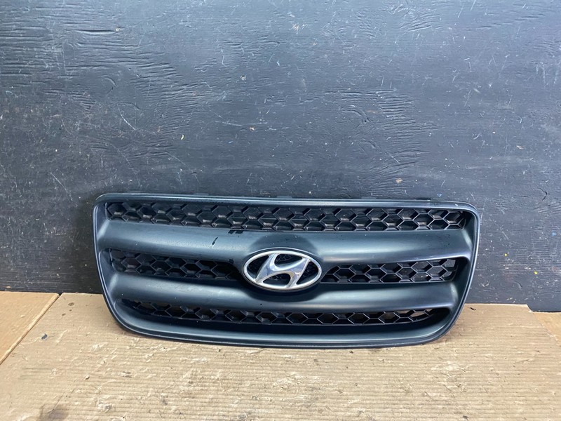 2007 to 2009 Hyundai Santa Fe Front Upper Grill Grille OEM S5781 DG