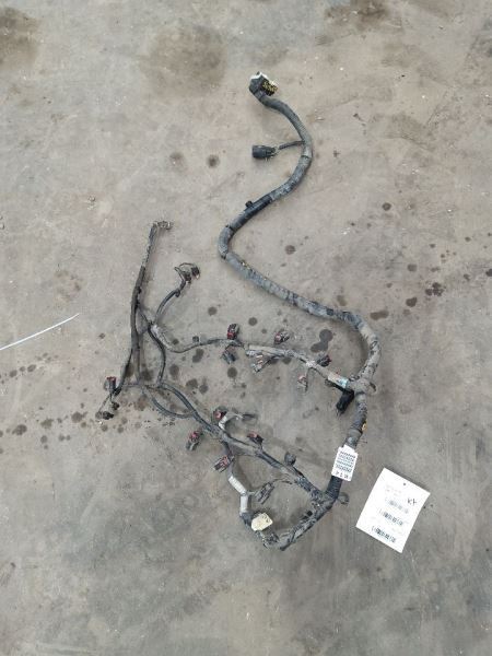 F1502011 Engine Wire Harness 254752
