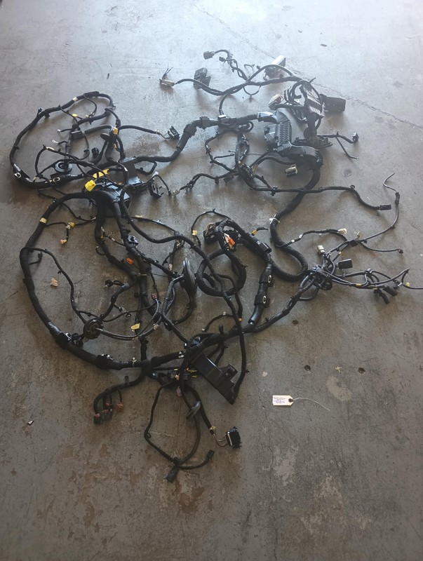 2021-2022 Chevrolet Trailblazer RS Body Main Wiring Harness 1.3L OEM 42789031