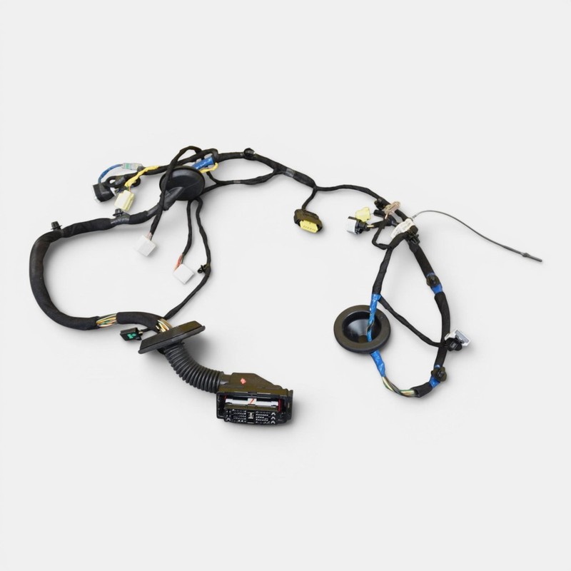 2022-2024 KIA EV6 Front Left Side Door Wire Wiring Harness Oem 91601cv600a