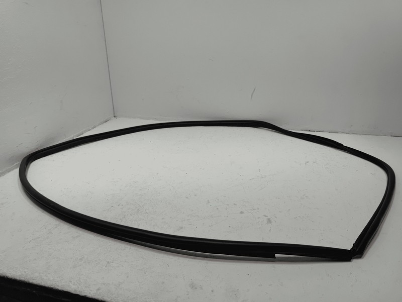 2018-2024 TOYOTA CAMRY FRONT PASSENGER SIDE DOOR BODY WEATHERSTRIP SEAL OEM