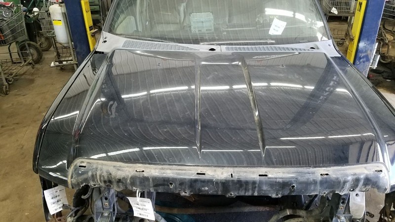 Hood Fits 08-10 FORD F250SD PICKUP 301966