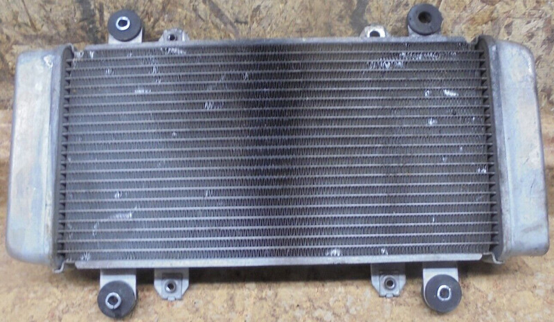 2014 Kawasaki Ninja EX300 EX 300 B A Engine Cooling Radiator Cooling EX300A 14