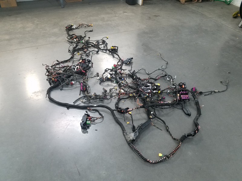 2016 Audi S4 Quattro B8 Chassis Wiring Harness #0800 P5