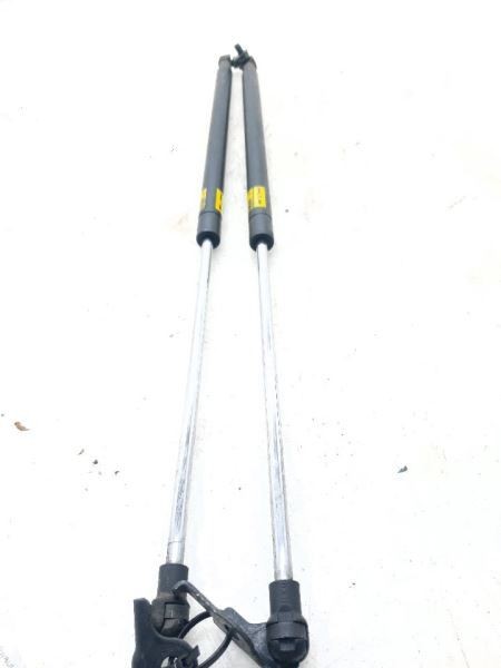 2014 LEXUS IS350 3.5L LEFT AND RIGHT SIDES HOOD STRUT PAIR