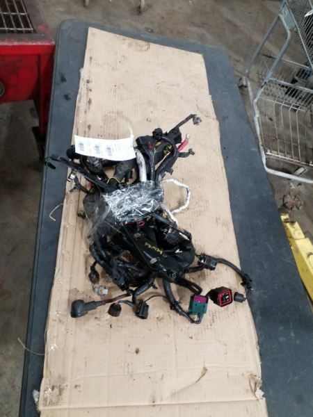 F350SD2008 Engine Wire Harness 245446