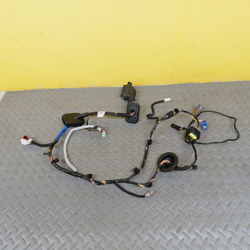 2024-2025 HYUNDAI SANTA FE FRONT RIGHT DOOR WIRE WIRING HARNESS OEM 91610R6670