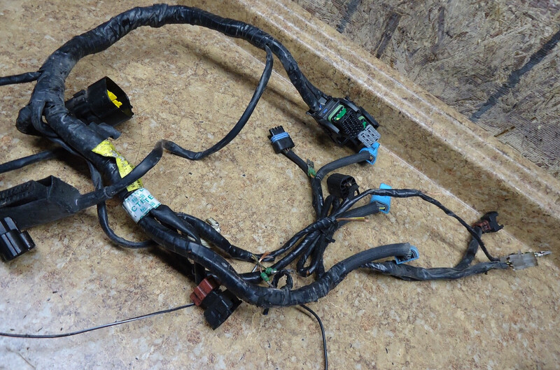 2001 Triumph Sprint RS 955I 955 I Electrical Wire Harness Loom Wiring Plug 01