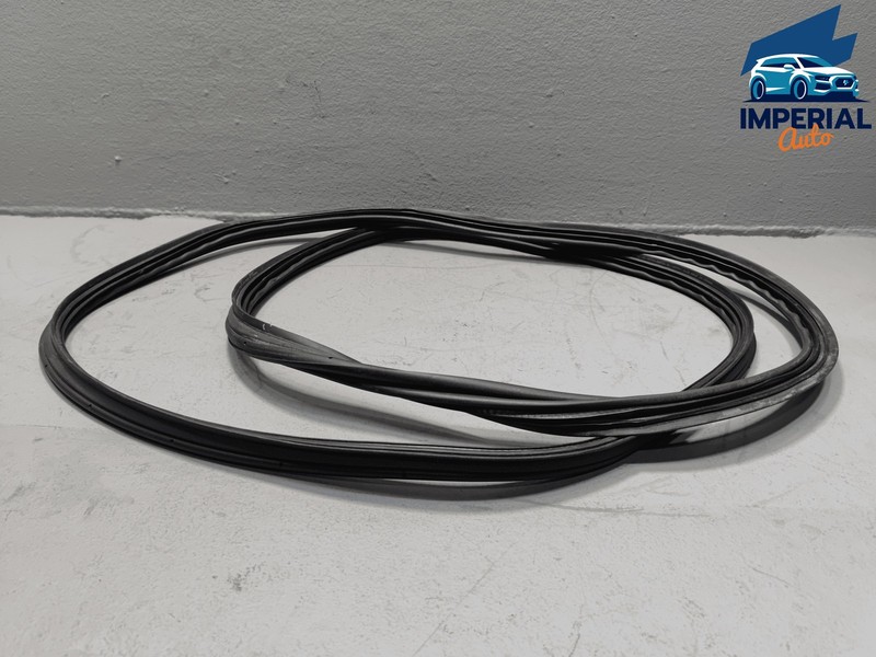2019-2025 Toyota RAV4 Liftgate Tailgate Back Door Body Weatherstrip Seal OEM