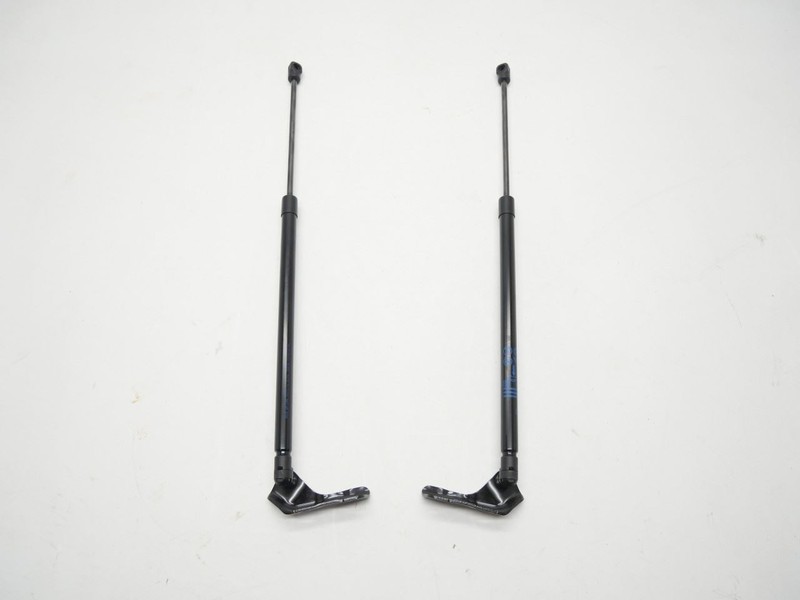 2020-2025 BUICK ENCORE GX REAR TRUNK LIFTGATE LIFT SUPPORT STRUT PAIR (2) OEM