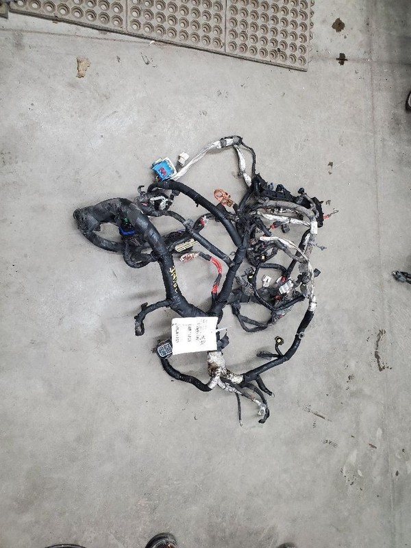 TOWN COUN 2016 Engine Wire Harness 307382