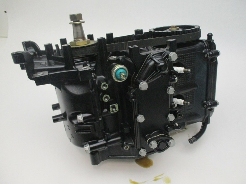 895188T04 8M0046065 Mercury Mariner Outboard 4 Stroke Powerhead 9.9 HP 2 Cyl