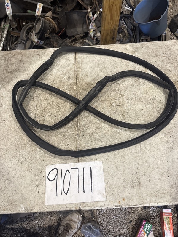 2006 - 2011 Cadillac Deville DTS Rear Right Door Mounted Rubber Weather Seal