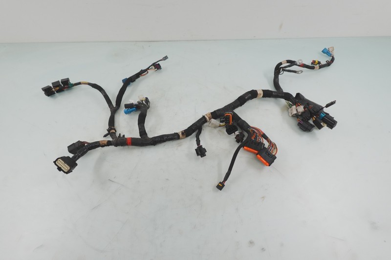 Polaris Pro Rmk Assault Switchback OEM Main Engine 2411756