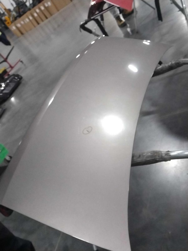2010 Chevrolet Malibu Deck Lid Trunk Lid Brown OEM Used Small Dent 23593
