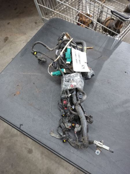 EXCURSION 2000 Engine Wire Harness 263599