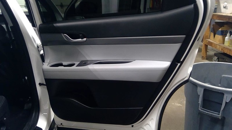 PALISADE 2022 Passenger Right Door Trim Panel Rear 1801847