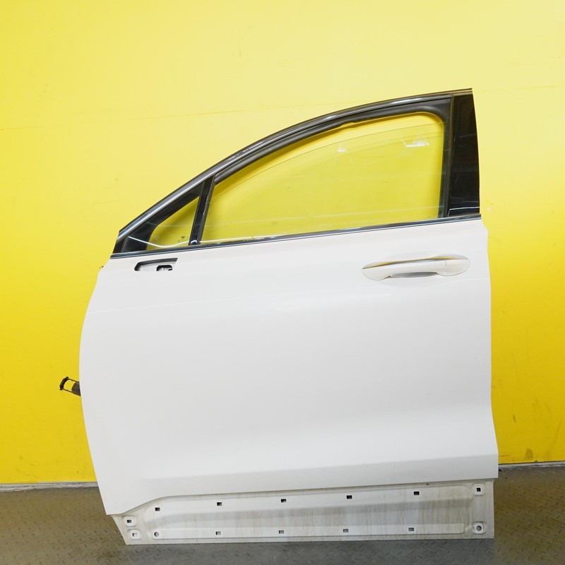 2019-2023 HYUNDAI SANTA FE FRONT LEFT SIDE DOOR OEM 76003S2000 WHITE_WW8
