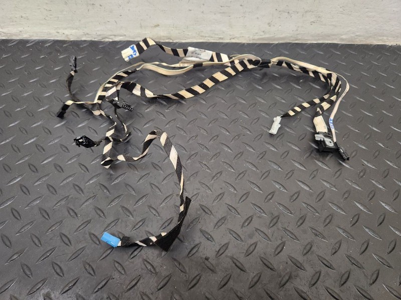 10-13 Mercedes-Benz S-Class Rear Door Panel Harness OEM 2214409105