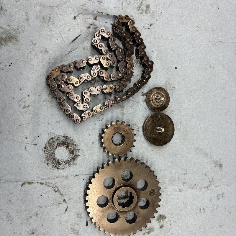1974 Vintage Snowmobile Arctic Cat Panther 440 Chain Case Sprockets And Chain