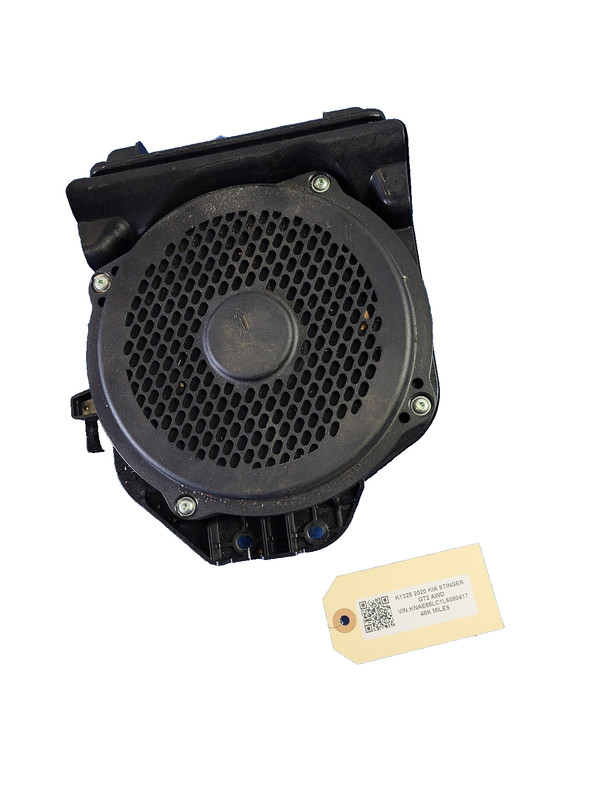 2018-2023 Kia Stinger GT2 Left Driver Front Speaker Subwoofer OEM 96380-J5000