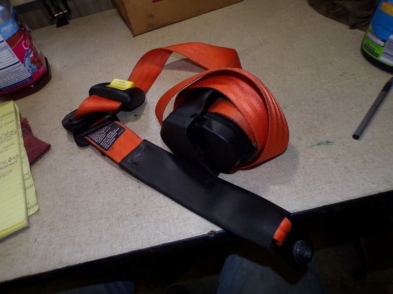 Immi F114834 Red Seat Belt *FREE SHIPPING*