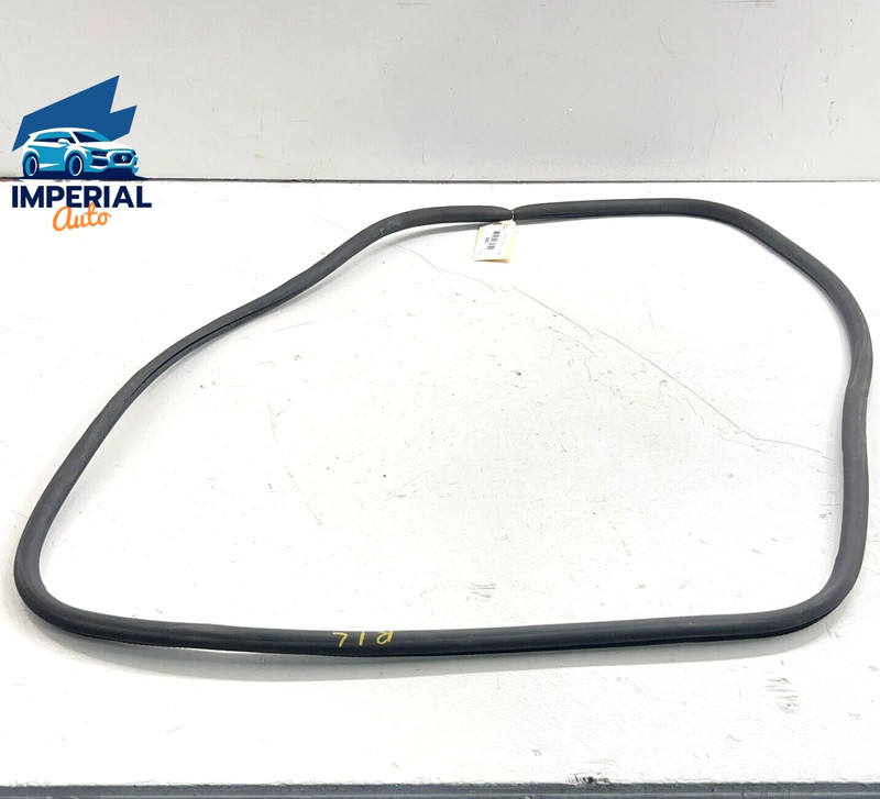 2010 - 2016 PORSCHE PANAMERA REAR LEFT DRIVER DOOR BODY WEATHERSTRIP SEAL OEM