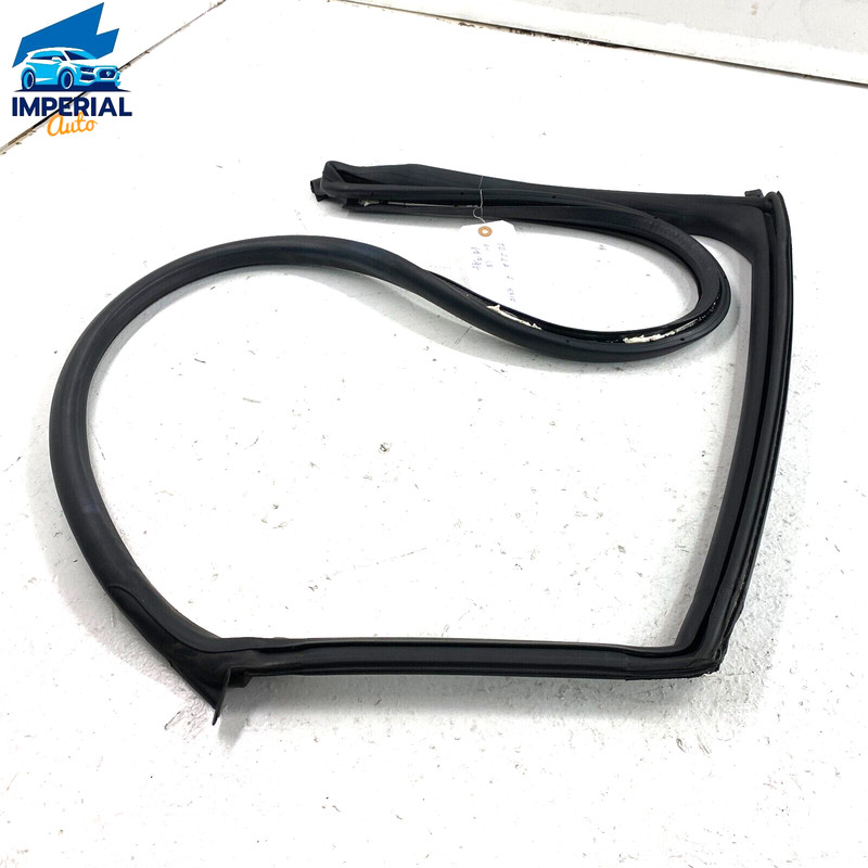 2012-2020 TESLA MODEL S REAR LEFT DRIVER SIDE DOOR BODY WEATHERSTRIP SEAL OEM