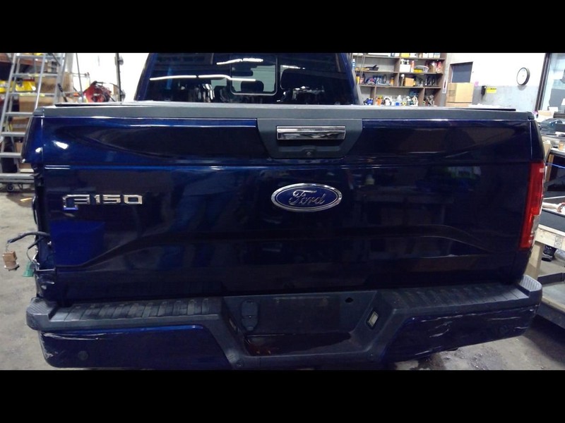 Tailgate With Tailgate Step Fits 15-17 FORD F150 PICKUP 1530597