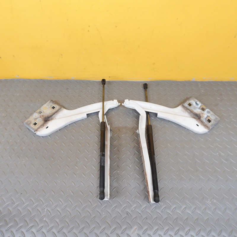 2017-2020 JAGUAR F-PACE Front Lh/rh Hood Bonnet Hinge Set Oem T4a1897 t4a1898