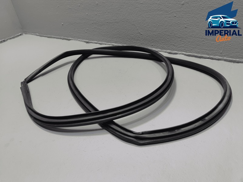 2019-2025 Toyota RAV4 Rear Left Driver Door Body Weatherstrip Seal OEM