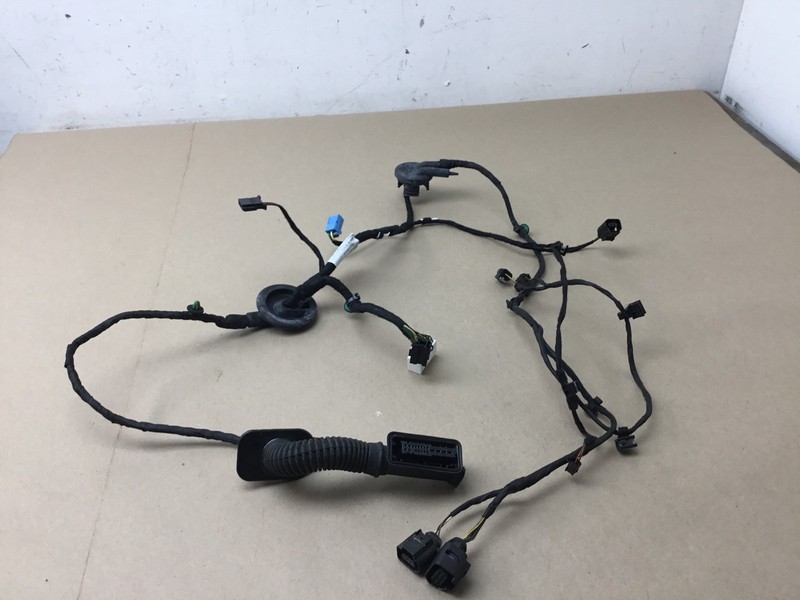 Bentley Bentayga 2019 V8 Rear Left Driver Door Wire Wiring Harness 16-20 :Y