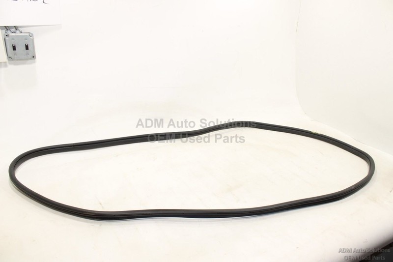 2020-2025 HYUNDAI PALISADE Rear Left Side Doorway Weatherstrip Seal On Body OEM